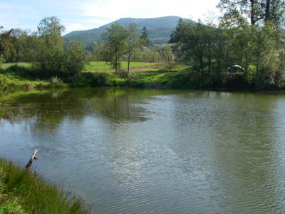 Burdick Pond / Trask River #3