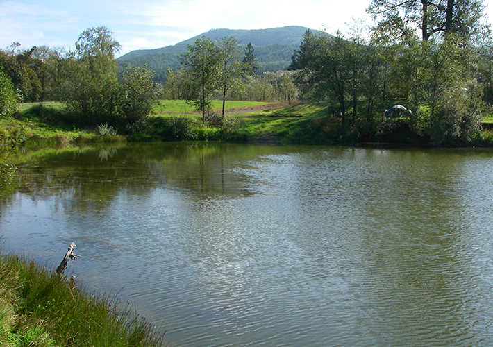 Oregon Fishing Club Burdick Pond Trask River 3