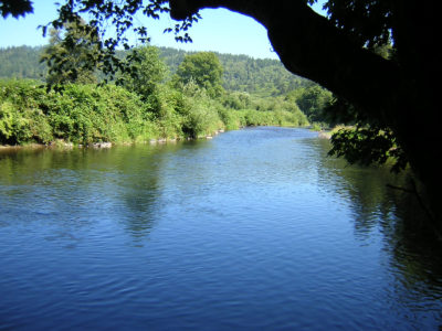 Oregon Fishing Club - Nestucca River #1