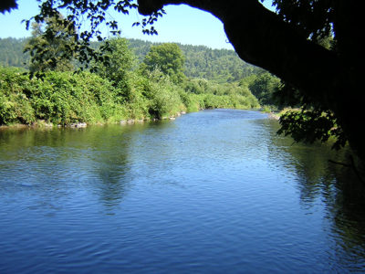 Nestucca River #1