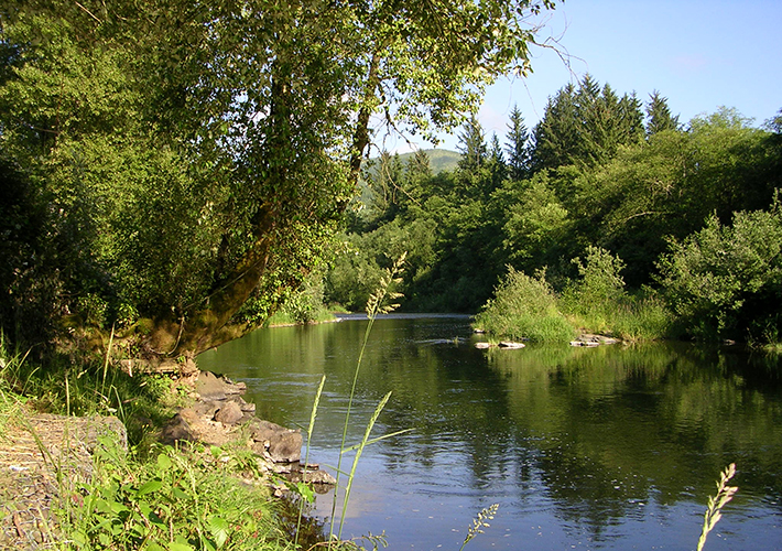 Oregon Fishing Club Trask River 3