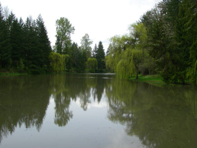 Brookside Inn Pond